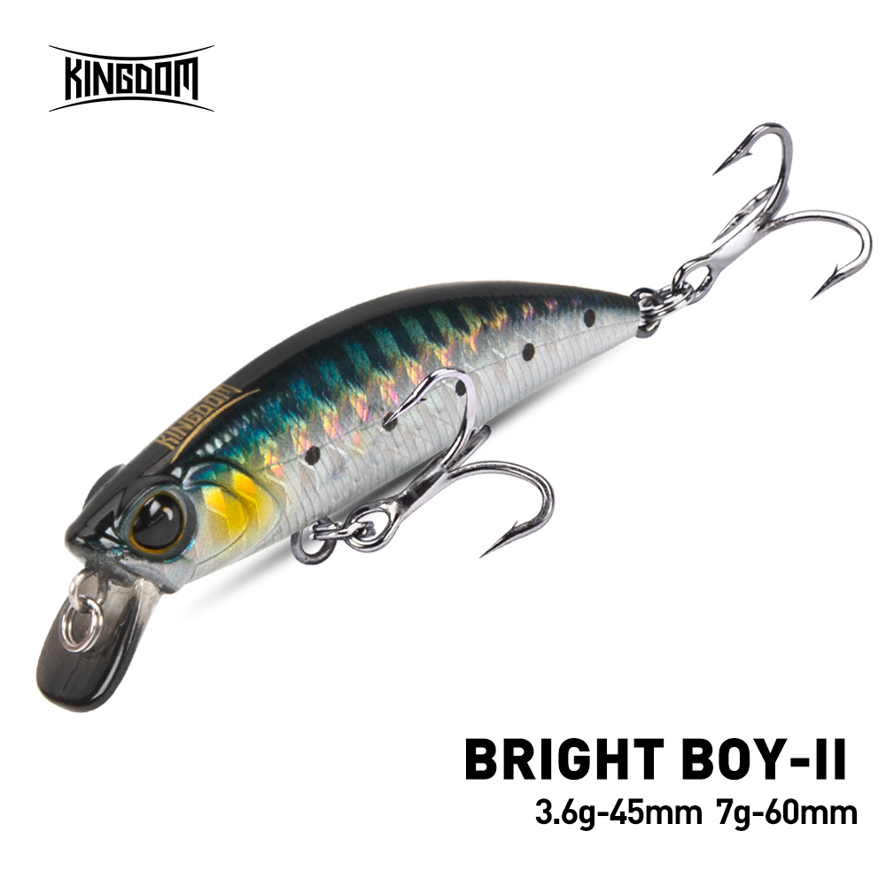 Fishing Equipment Deals - 킹덤 싱킹 미노우 낚시 루어 45mm
