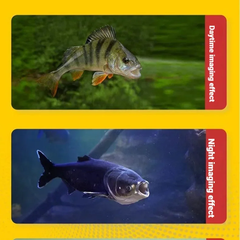 4.3인치/5인치 HD 화면 낚시 카메라, 야간 투시  - Underwater Fishing Camera 리뷰 및 가격